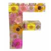 Handmade Floral Night Light - Floral Resin Night Light,Pressed Flower Resin Letters Nightlight with LED Light,DIY Handmade Custom Letter Decortions Lamps for Women Girls Gift (F) view 1