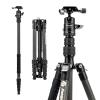 Fotopro 60" Carbon Fiber Camera Tripod for Travel, Detachable Monopod, Ball Head with Quick Release Plate for DSLR, Lightweight Compact Tripod Stand with Bag, Max Load 8kg/17.6 lbs, X-Go Carbon E 2 view 1