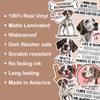 10pcs White German Shorthaired Pointer Sticker Sheet, Cute Vinyl Decals for GSP Owners and Outdoor Pet Lovers, Waterproof, UV-Resistant, for Laptop, Water Bottle, Crate, Notebook, Journal, Gear Box view 3
