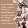 10pcs Liver German Shorthaired Pointer Sticker Sheet, Cute Vinyl Decals for GSP Owners and Outdoor Pet Lovers, Waterproof, UV-Resistant, for Laptop, Water Bottle, Crate, Notebook, Journal, Gear Box view 3