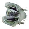 UIAHNE NP39LP Replacement Projector Lamp with Housing Compatible with P502H NP-P502H NP-P502W NPP502H NPP502W P502W(NP39LP CB) view 1
