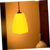 SEWOART Unique Lamp Cover Plastic Lampshade for Wall Lamps Ceiling Light Chic Decor view 2