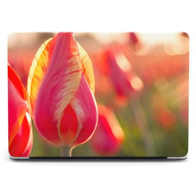 Protective case only for - MacBook Pro 14 A2918 A2992 A2779 A2442. Protective Hard Plastic case - Beautiful Close-up of Pink Tulips