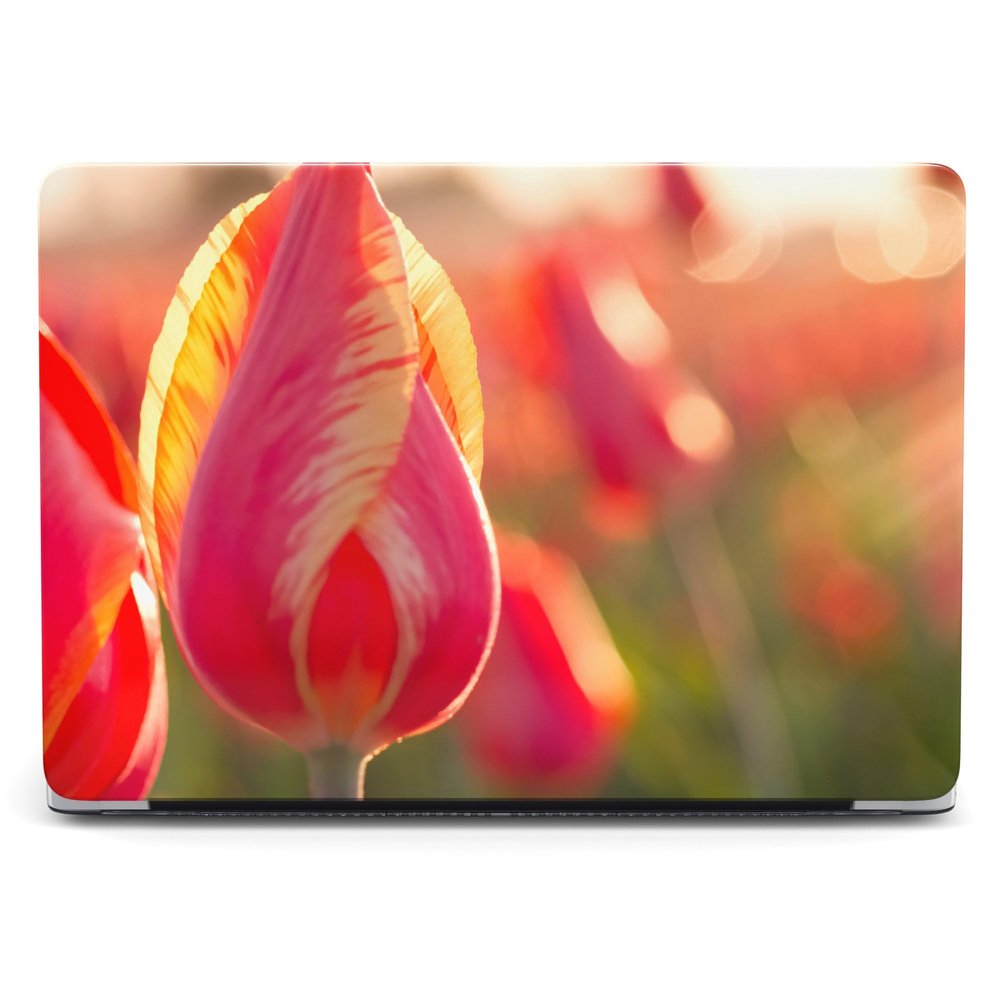 Protective case only for - MacBook Pro 14 A2918 A2992 A2779 A2442. Protective Hard Plastic case - Beautiful Close-up of Pink Tulips