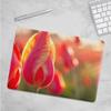 Protective case only for - MacBook Pro 14 A2918 A2992 A2779 A2442. Protective Hard Plastic case - Beautiful Close-up of Pink Tulips view 3