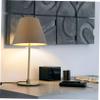 GRIRIW Chic Cloth Lamp Gray Fabric Light Cover for Home Stylish Lampshade for Table and Floor Lamps Housewarming Easy to Use and view 4