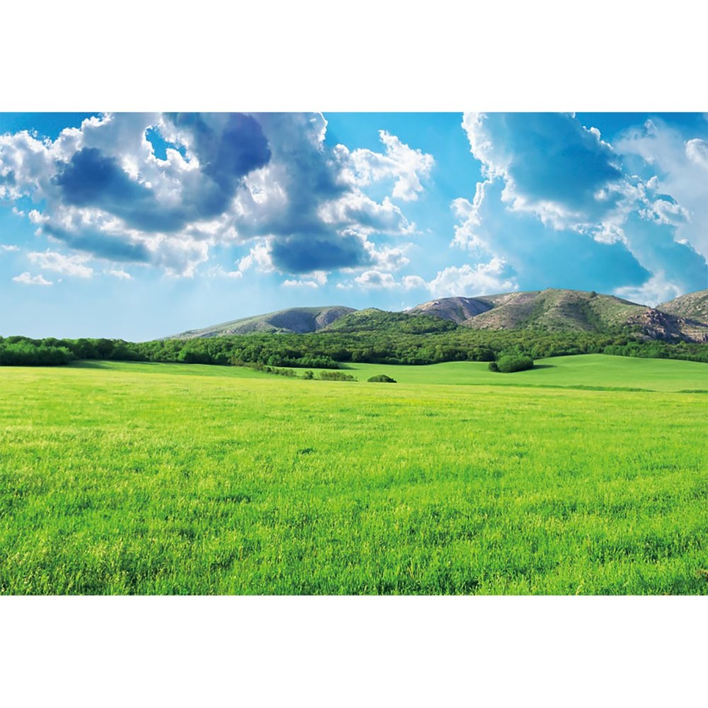 14x10ft Green Meadow Photography Background Natural Landscape Spring Green Grass Land Mountains Blue Sky White Clouds Farm Land Photo Backdrop Office Home Wallpaper Curtain Photo Studio Props