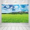14x10ft Green Meadow Photography Background Natural Landscape Spring Green Grass Land Mountains Blue Sky White Clouds Farm Land Photo Backdrop Office Home Wallpaper Curtain Photo Studio Props view 3
