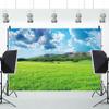 14x10ft Green Meadow Photography Background Natural Landscape Spring Green Grass Land Mountains Blue Sky White Clouds Farm Land Photo Backdrop Office Home Wallpaper Curtain Photo Studio Props view 4