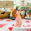 Silicone Hairless Cat Model Soft Odourless Photo Props Decoration Sphynx Cat Model view 3