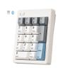 Kisnt FD17 Wireless Mechanical Number Pad, Bluetooth 5.0& 2.4G Dual Mode Numeric Keypad, 17 Keys Hot Swappable Numpad with PBT Keycaps for Laptop/PC/TKL Keyboards(Beige, Linear Switch) view 1