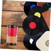DirectNine Basics Vinyl Record Cleaning Brush Static Fine Bristles for Safe Dust Removal Essential Record Cleaner Tool for Maintaining Your Vinyl Collection view 2