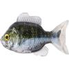 4.3 Sunfish Unrigged-Green/Pearl view 1
