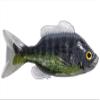 3.8 Sunfish Unrigged-blk/Green view 1