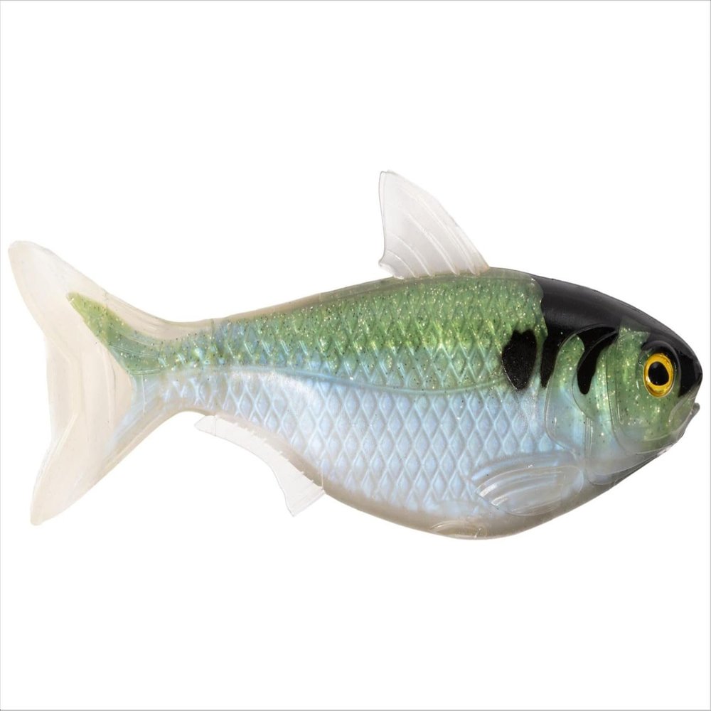 6.5 Shad Unrigged-Blue/Green
