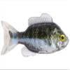 3.8 Sunfish Unrigged-Green/Pearl view 1