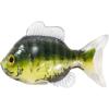 4.3 Sunfish Unrigged-Green/Cream view 1