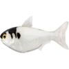 4.5 Shad Unrigged-White/Albino view 1