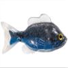 4.3 Sunfish Unrigged-Silver/Blue view 1