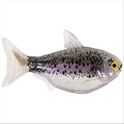 4.5 Shad Unrigged-Olive/Pink