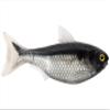 5.5 Shad Unrigged-blk/Silver view 1