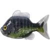 4.3 Sunfish Unrigged-blk/Green view 1