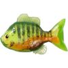 4.3 Sunfish Unrigged-Chartreuse/org view 1
