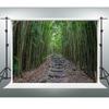 YongFoto Green Bamboo Backdrop 9x6ft Bamboo Forest Trail Nature Scenery Photography Background Birthday Wedding Party Banner Courtyard Living Room Sofa Wall Decor Photoshoot Wallpaper Booth Props view 3