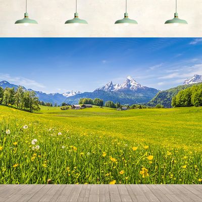 12x10ft Spring Grassland Meadow Backdrop Green Grass Lawn Wildflower Blue Sky Mountain Nature Scenery Background Hiking Vacation Wall Decor Photography Kids Adult Portrait Photo Studio Props