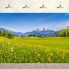 12x10ft Spring Grassland Meadow Backdrop Green Grass Lawn Wildflower Blue Sky Mountain Nature Scenery Background Hiking Vacation Wall Decor Photography Kids Adult Portrait Photo Studio Props view 1