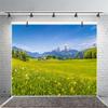 12x10ft Spring Grassland Meadow Backdrop Green Grass Lawn Wildflower Blue Sky Mountain Nature Scenery Background Hiking Vacation Wall Decor Photography Kids Adult Portrait Photo Studio Props view 3