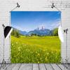 12x10ft Spring Grassland Meadow Backdrop Green Grass Lawn Wildflower Blue Sky Mountain Nature Scenery Background Hiking Vacation Wall Decor Photography Kids Adult Portrait Photo Studio Props view 4