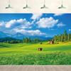 10x8ft Grassland Meadow Backdrop Green Grass Wildflower Countryside Blue Sky White Cloud Background Outdoor Nature Scenery Wall Decor Photography Kids Adult Portrait Photo Studio Props view 1