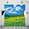 10x8ft Grassland Meadow Backdrop Green Grass Wildflower Countryside Blue Sky White Cloud Background Outdoor Nature Scenery Wall Decor Photography Kids Adult Portrait Photo Studio Props view 4