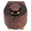 5.0 Small Amplifier Powerful HiFi Stereo Sound for Mobile Phones Computers Home Entertainment view 4