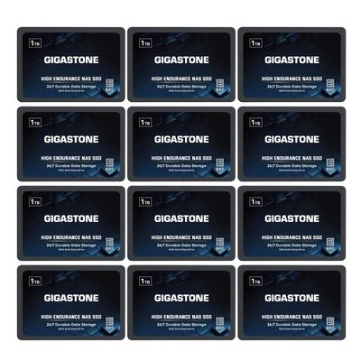 Gigastone NAS Only 1TB NAS SSD Drive (12-Pack) 24/7 Durable TLC High Endurance RAID Data Storage Network Attached Storage 2.5" SATA Internal Solid State Hard Drives