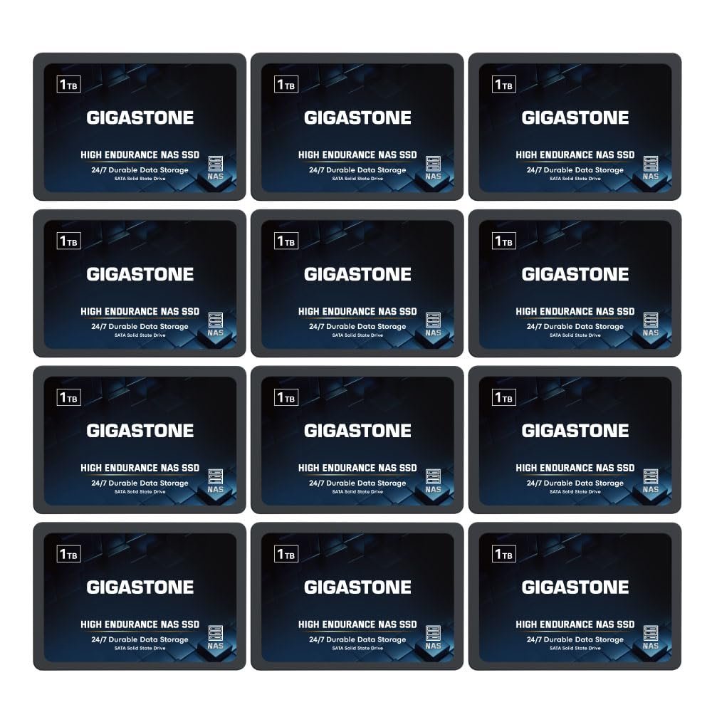 Gigastone NAS Only 1TB NAS SSD Drive (12-Pack) 24/7 Durable TLC High Endurance RAID Data Storage Network Attached Storage 2.5" SATA Internal Solid State Hard Drives