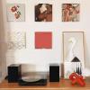 ANGGREK Clear Acrylic Record Rack, Wall Mounted Record Rack, Multifunctional, Easy Installation for Bedroom view 2