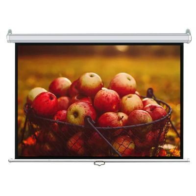 60 Inch Manual Pull Down Projector Screen with Auto-Locking, for Movie Home Theater Cinema Office