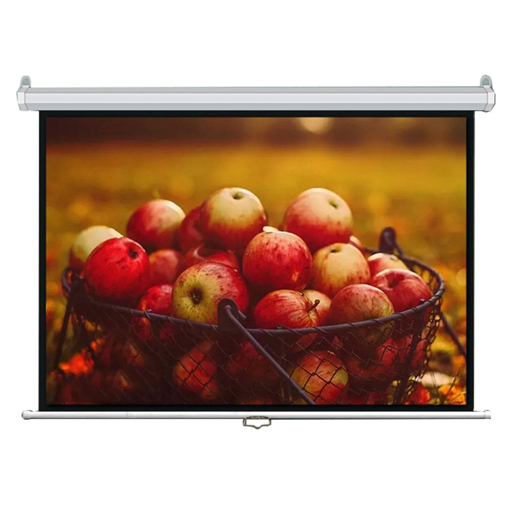 60 Inch Manual Pull Down Projector Screen with Auto-Locking, for Movie Home Theater Cinema Office