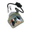 BINLAI Projector lamp LMP-C162 for So-ny VPL-CS20 VPL-CX20 VPL-ES3 VPL-EX3 VPL-CX20A VPL-EX4 VPL-ES4 VPL-CS20A(LMP-C162-CB) view 2