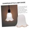 WHAMVOX 1pc Glass Lamp Shade Cover for Replacement Lampshade for Easy Installation Eye-friendly Light for Bedroom and Living Room Decor view 4