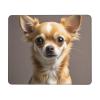 Mouses Pad Cute Chihuahua Mouses mat with Non-Slip Rubber Computer Keyboard Mat for Wireless Mouses Gaming Desk Pad for Home 10 x 12in view 1