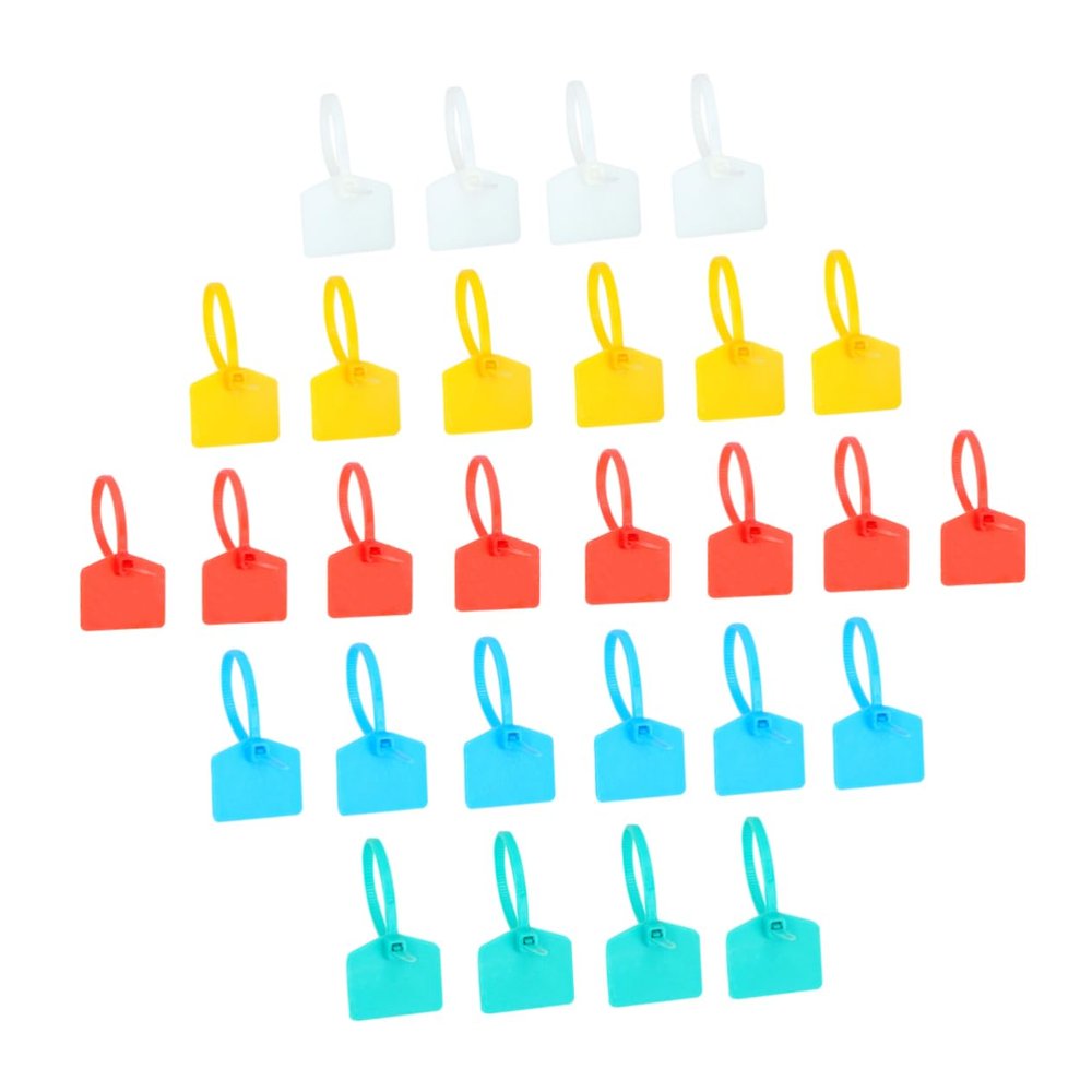 Angoily 100pcs Electric Cable Ties Wire Tie Wraps Self-locking for Home Office Random Color