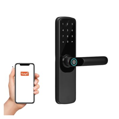 FGCJFG Tuya WiFi Digital Electronic Lock Smart Door Lock House with Password Biometric Fingerprint Door Lock APP Remotely(22x180)