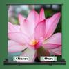 60" Pull Up Floor Projector Screen, 16:9 Portable Projector Movies Screens, for Home Office Mobile Working view 2