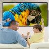 5JJJLOOOPP Projector Screen Portable Indoor/Outdoor 16:9 Foldable 4K Movie Screen - Suitable for Camping, Party, Home Theater, 60" /72" /84" /100" /120" (60IN, Thin) (120IN Anti) view 2