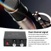 2 Channel Sound Amplifier, Dual Channel Signal, Independent Control Stereo Sound Distributor, Excellent Output, Mini Size, Widely Compatible, High Performance MP3, Speakers view 4