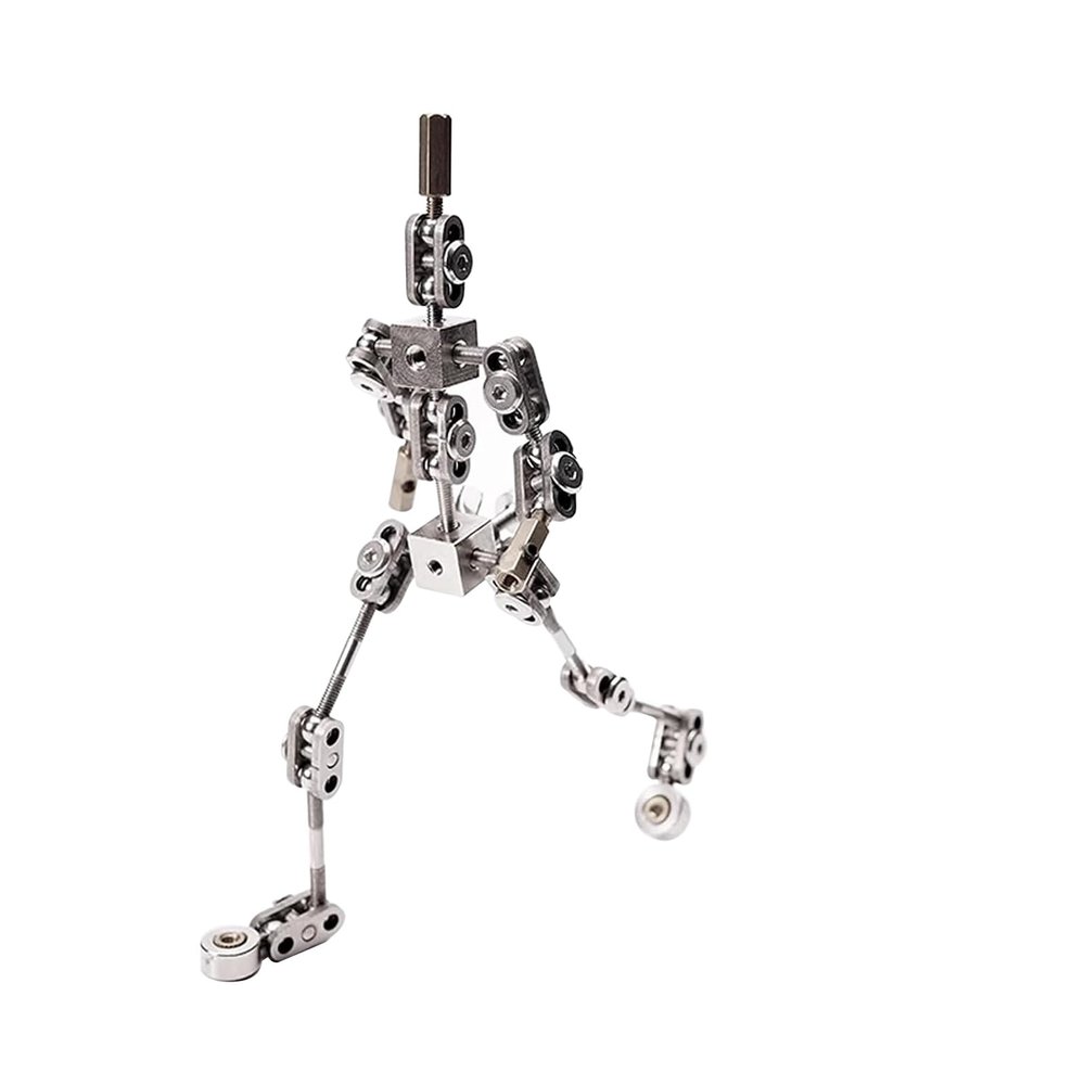 1:8 Proportional Adult Skeleton Kit, DIY Stop Motion Armature Kits, Stainless Steel Stop Motion Puppet, Metal Puppet Figure for Animation Character Design and Creation(13cm)