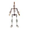1:8 Proportional Adult Skeleton Kit, DIY Stop Motion Armature Kits, Stainless Steel Stop Motion Puppet, Metal Puppet Figure for Animation Character Design and Creation(15cm) view 2